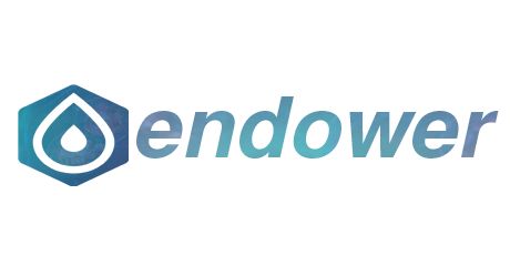 Endower GmbH